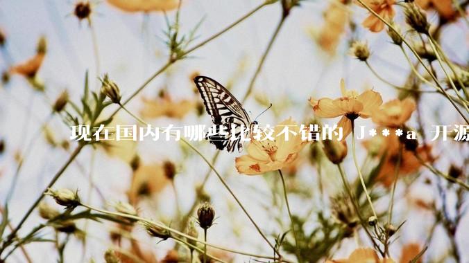 现在国内有哪些比较不错的 J***a 开源商城系统？