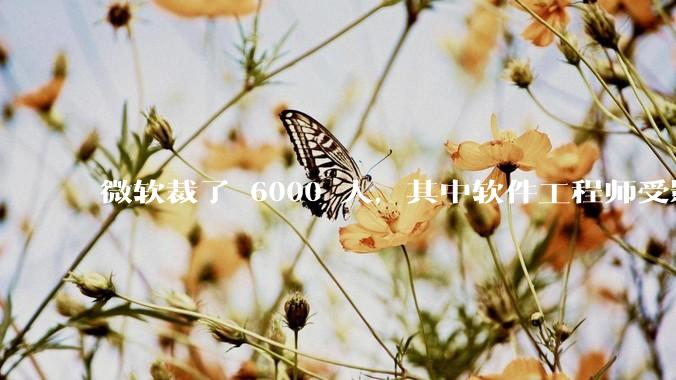 微软裁了 6000 人，其中软件工程师受影响最大，这会给整个软件行业的人才流动带来怎样的连锁反应？